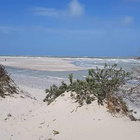 Un P'tit Nid Au Paradis *
